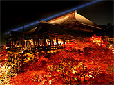 紅葉の京都
